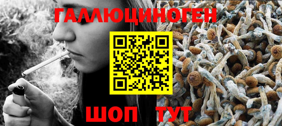 А ПВП Ковров